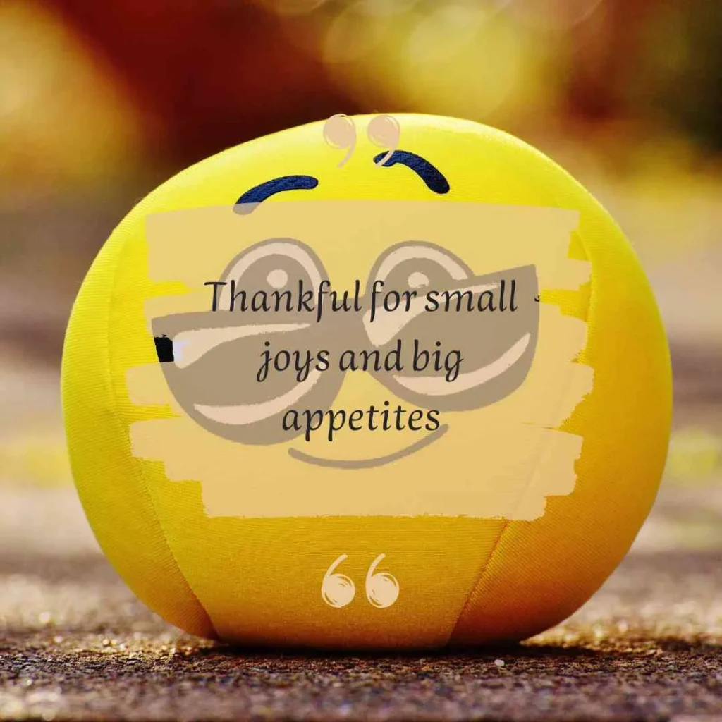 Short Funny Thanksgiving Quotes for Gratitude