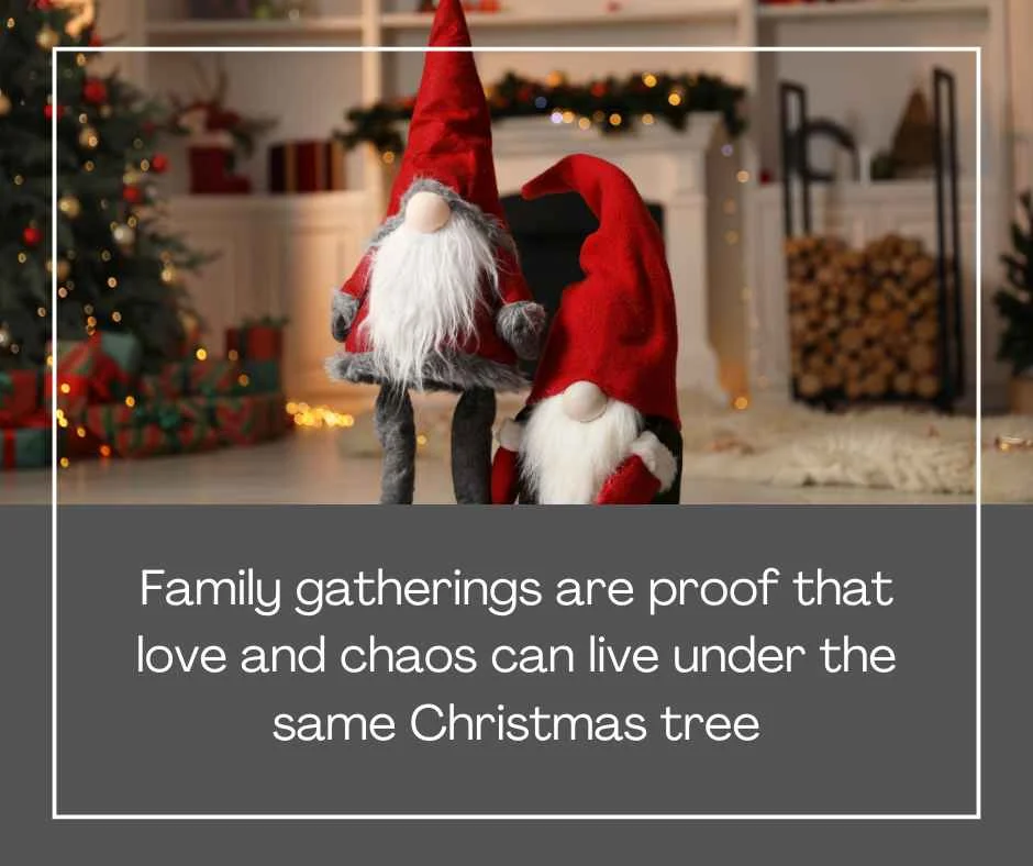 Funny Christmas Quotes