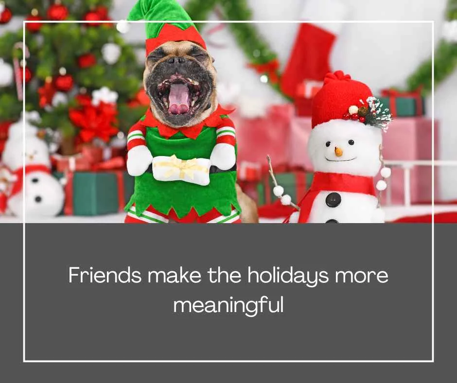 Funny Christmas Quotes