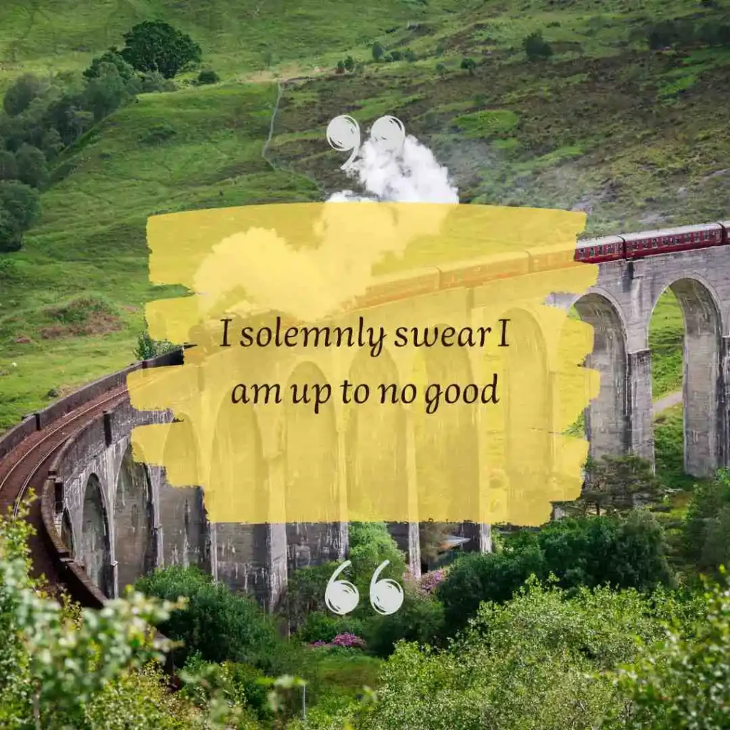 Funny Harry Potter Book Quotes