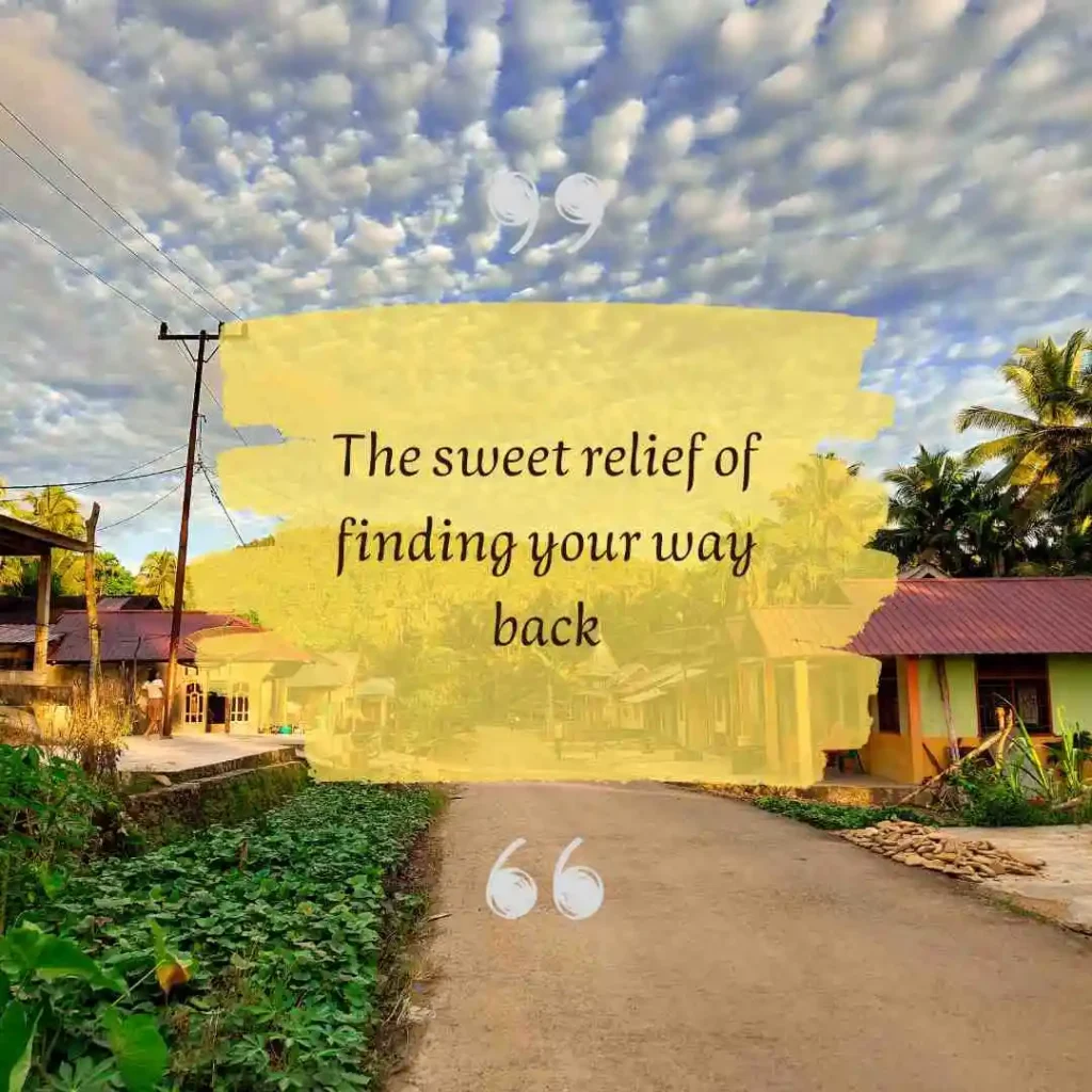 Hometown Quotes About Returning Home