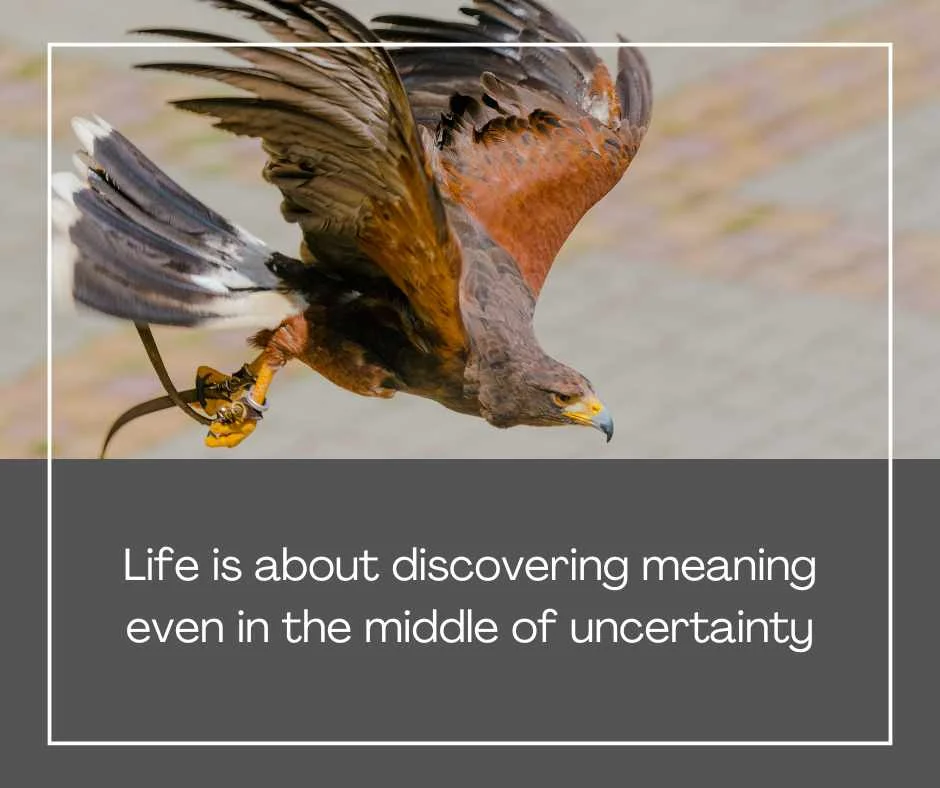 Stephen Hawking Quotes