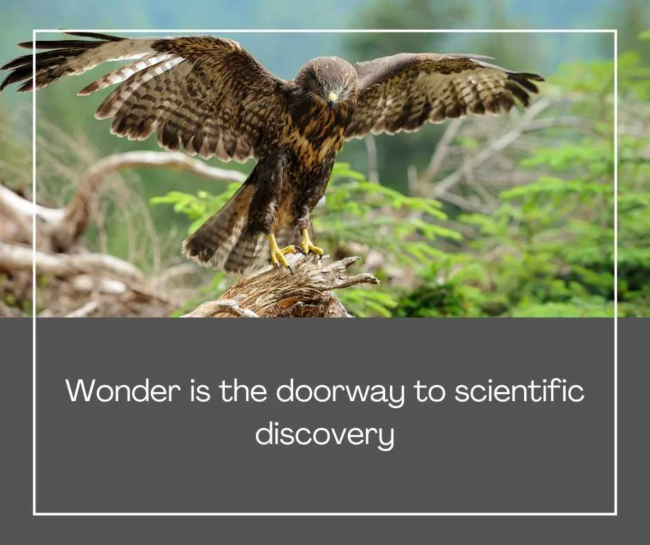 Stephen Hawking Quotes