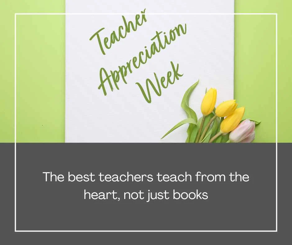 Teacher Appreciation Quotes