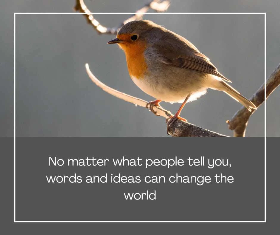 Robin Williams Quotes