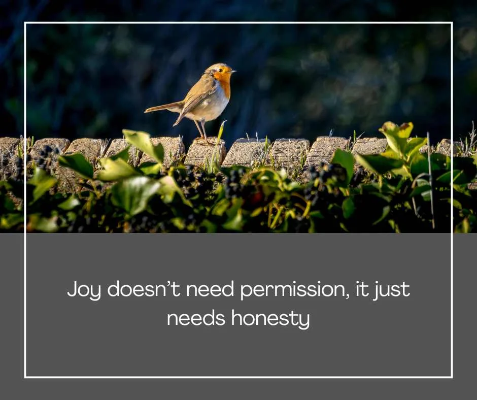 Robin Williams Quotes