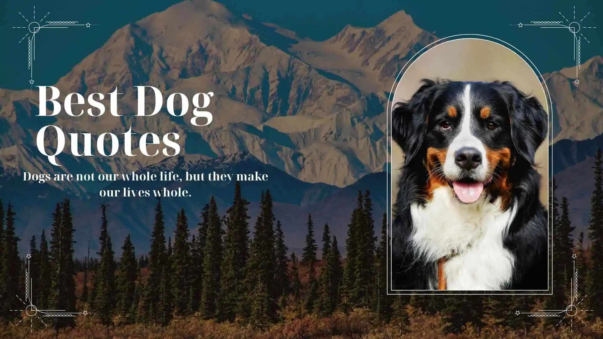 191+ Best Dog Quotes That Warm the Heart and Lift the Spirit in 2026