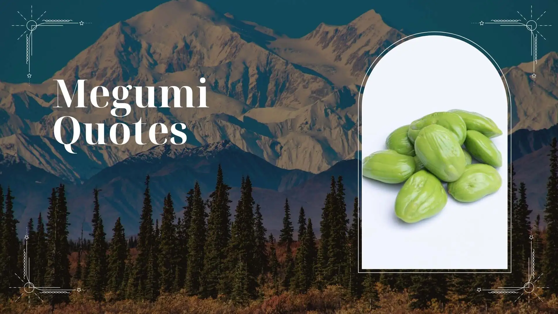 221+ Best Megumi Quotes for Fans Who Love Depth, Strength & Quiet Emotions in 2026