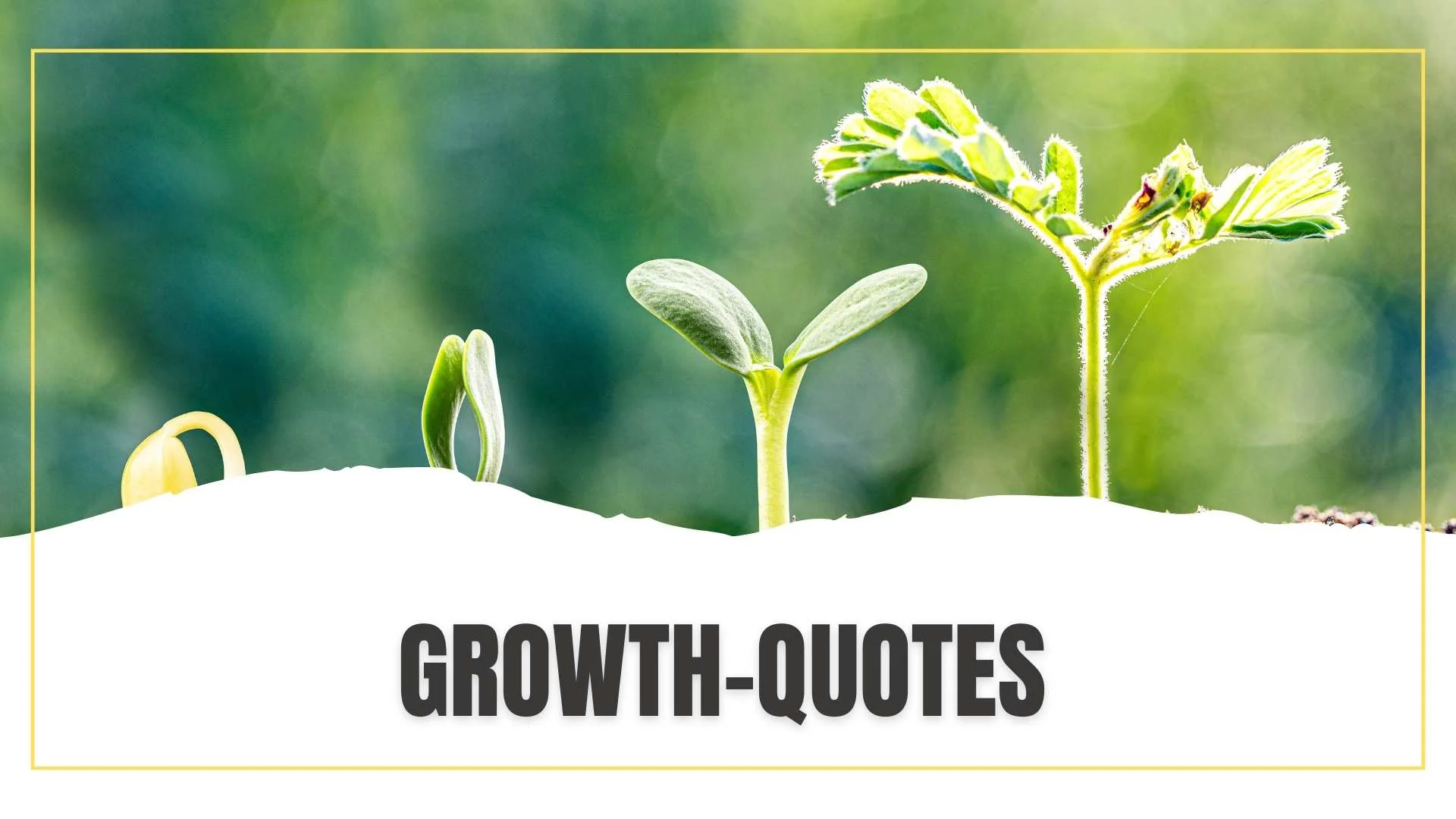 Growth Quotes