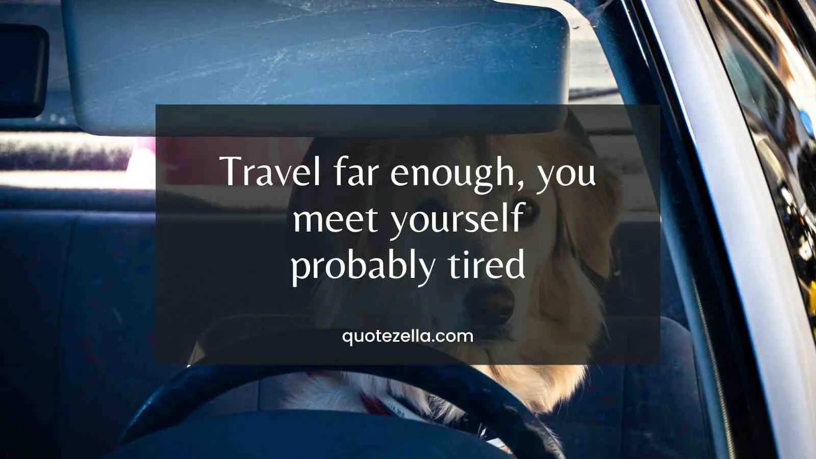 funny travel quotes