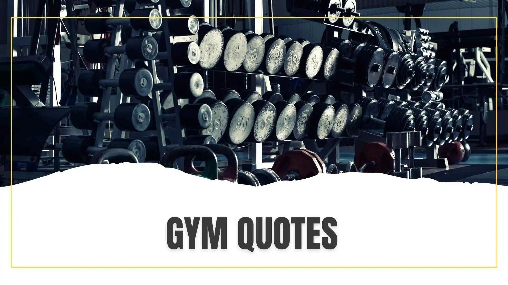 Gym Quotes