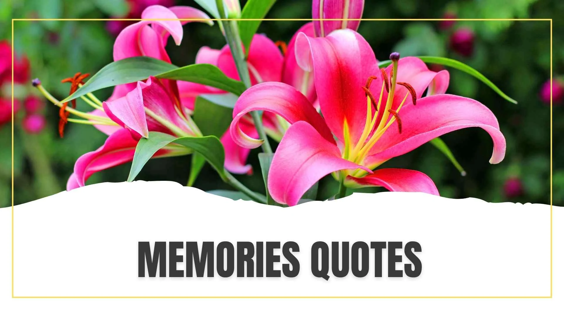 Memories Quotes