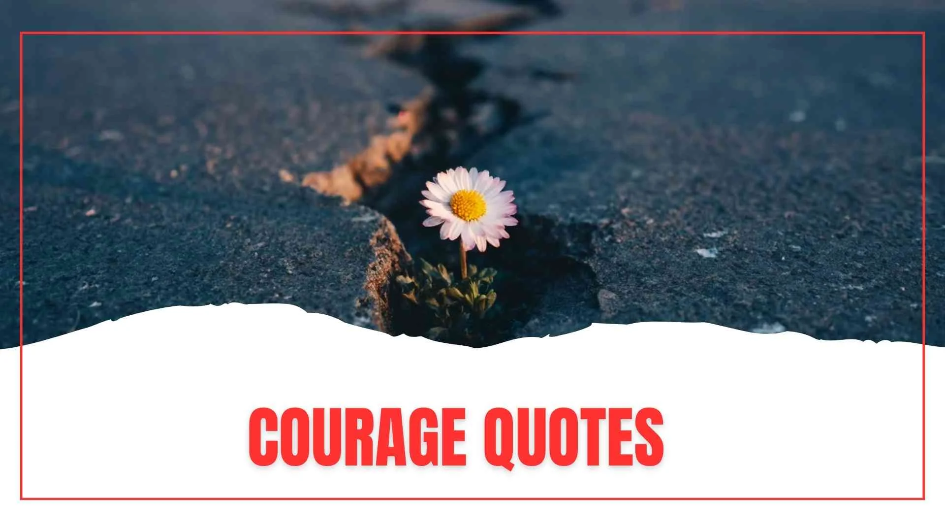 Powerful Courage Quotes to Help You Face Life Without Fear for 2026
