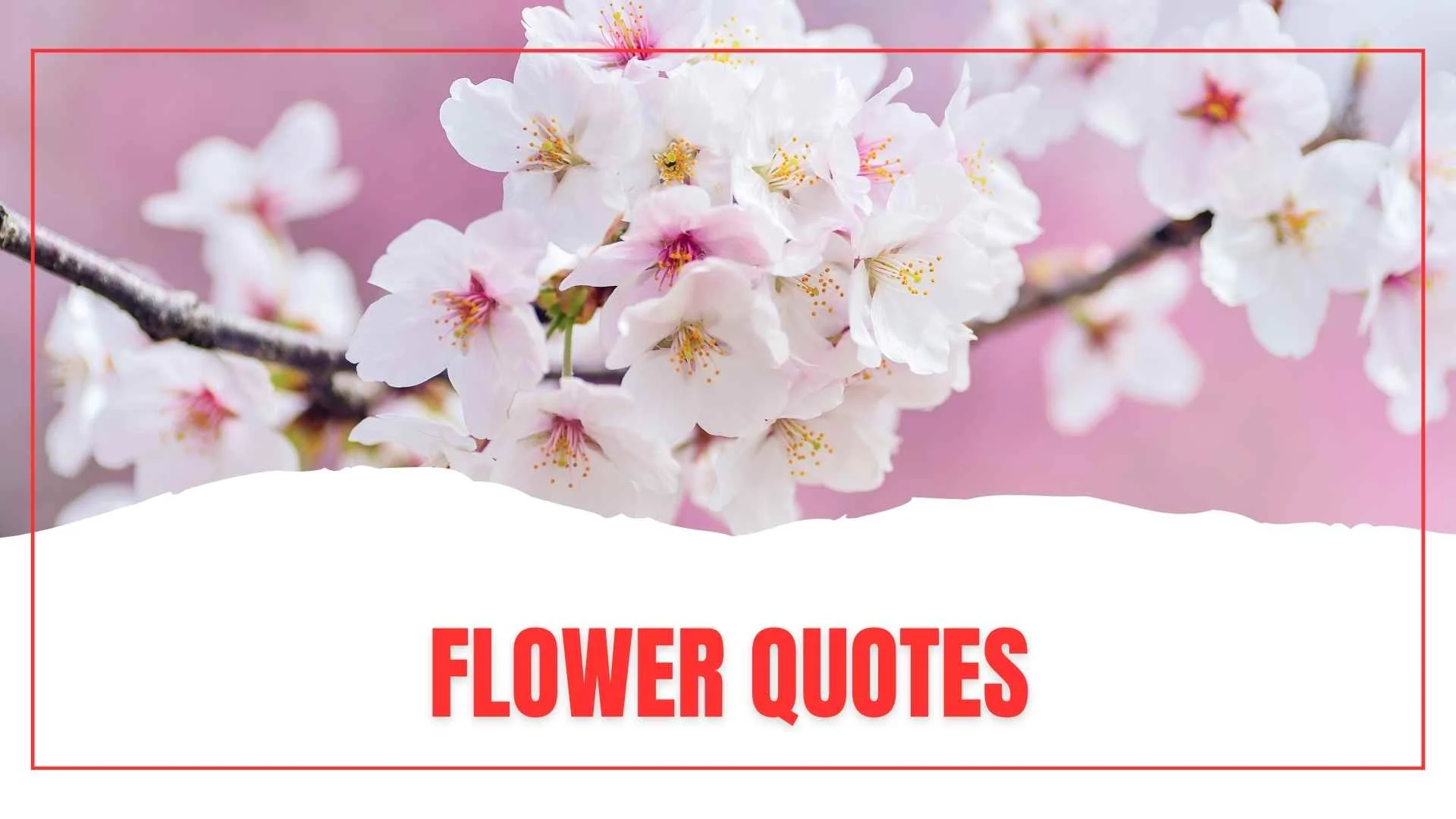Flower Quotes