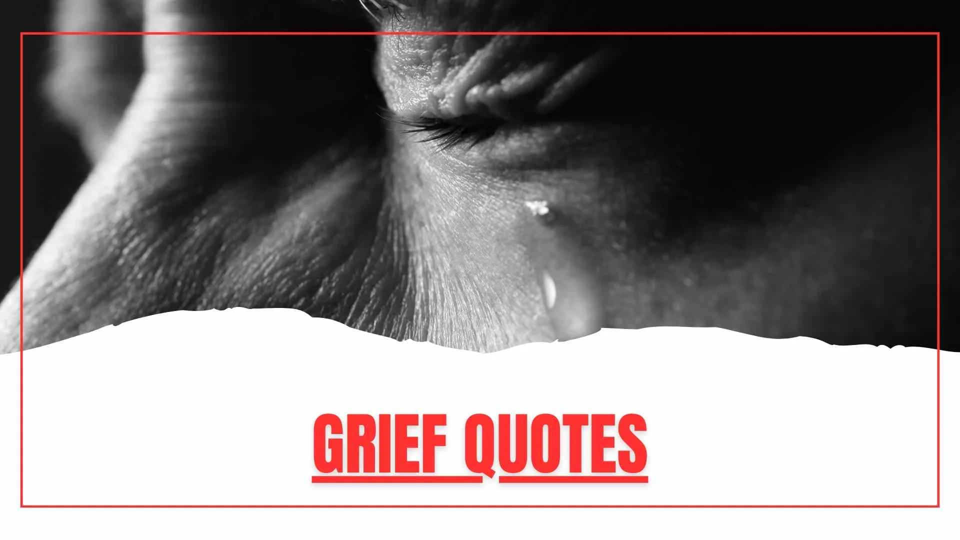 Inspirational Grief Quotes That Offer Comfort and Peace for 2026
