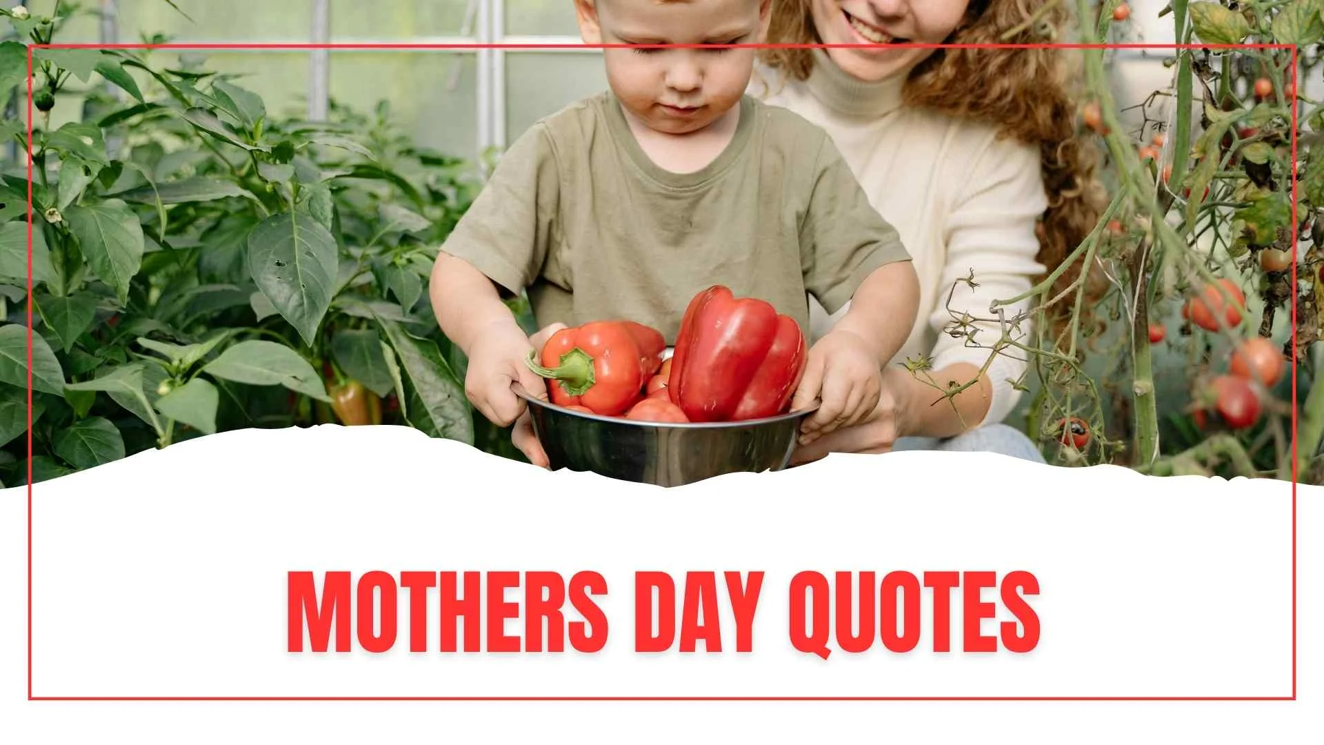 Mothers Day Quotes
